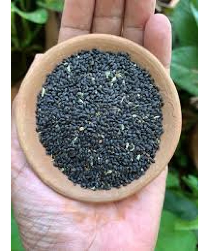 BASIL SEEDS