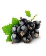 BLACK CURRANT-250gms