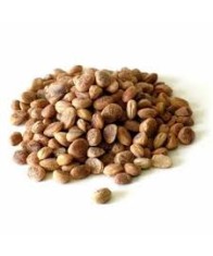 CHIRONJI NUTS / SARAPAPPU