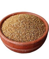 KODO MILLETS