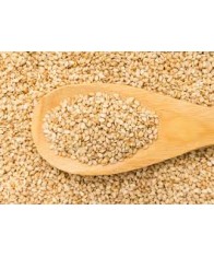 SESAME SEEDS