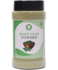 Mint leaf spice powder 